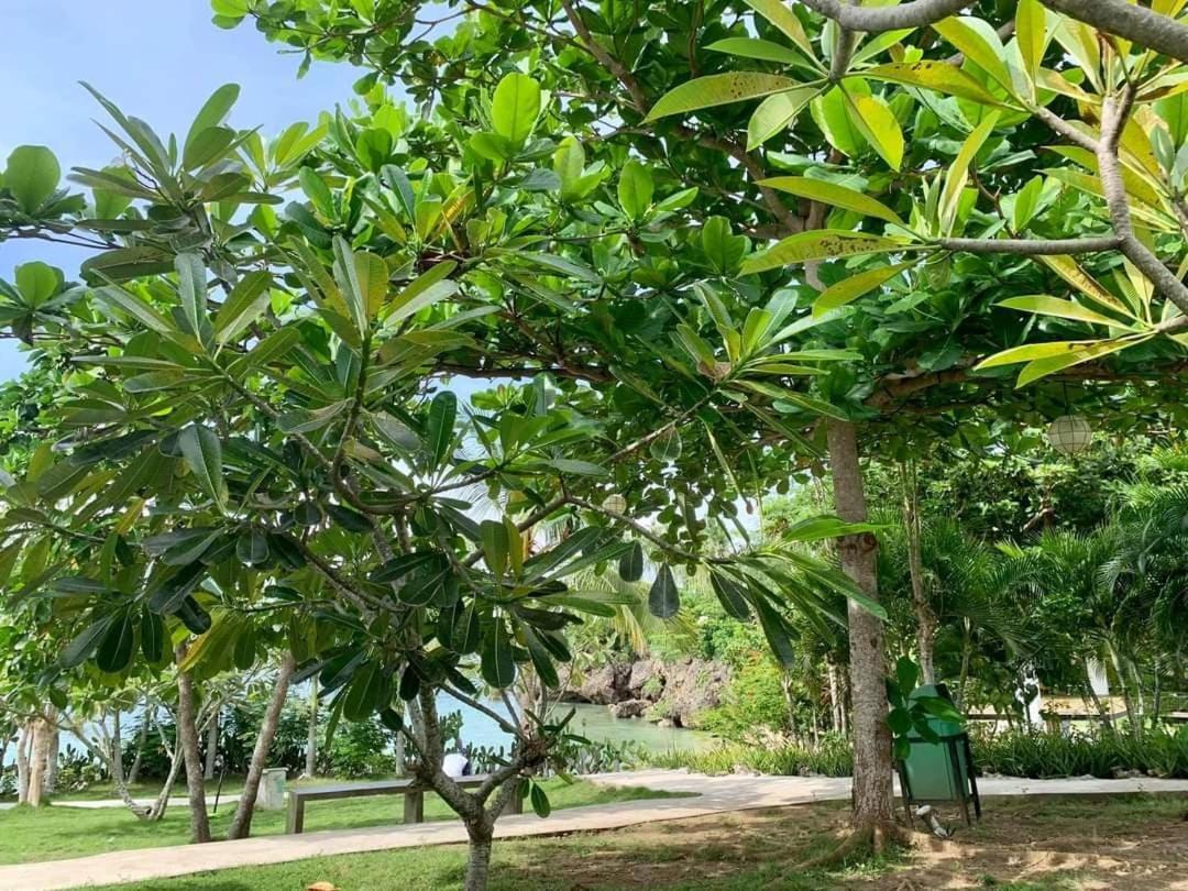 Cebu R Resort Tabuelan מראה חיצוני תמונה